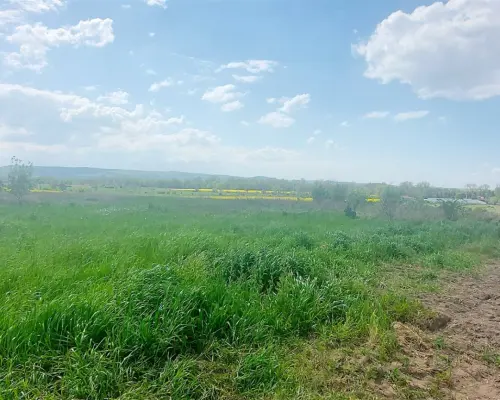 Działka inwestycyjna na obrzeżach miasta Świdnica