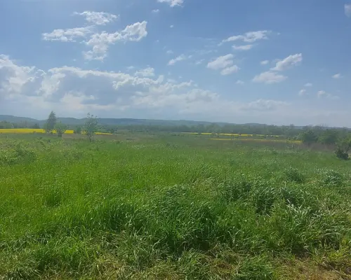 Działka inwestycyjna na obrzeżach miasta Świdnica