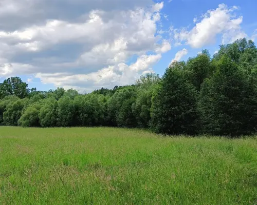 Wyjątkowa działka pod zabudowę mieszkaniową!