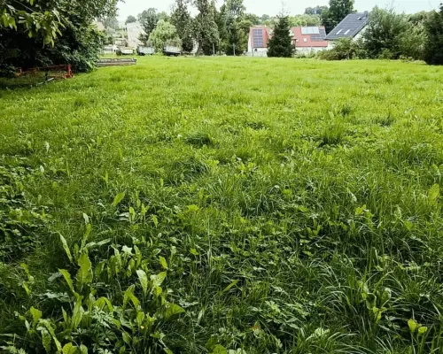 Działka na sprzedaż - Szczepanów, 13 km od Świdnicy w kierunku Wrocławia.  TYLKO U NAS!     Malownicza okolica!  Świet