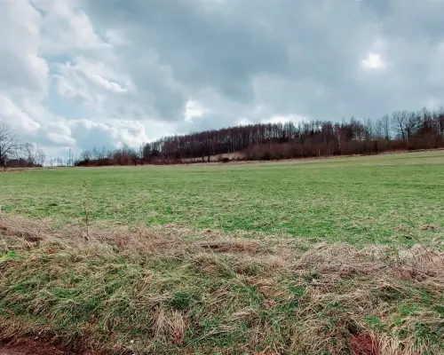 Działki rolne , atrakcyjna lokalizacja Nowa Ruda