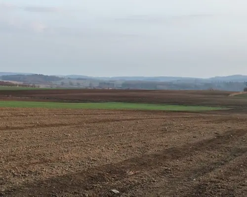 Atrakcyjne działki budowlane w Słupicach