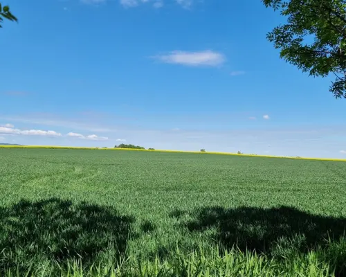 Działka rolna w Lutomii Dolnej