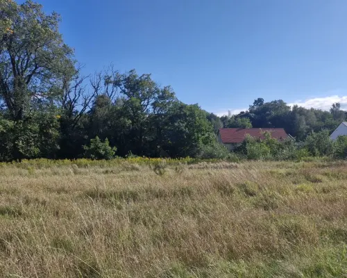 Atrakcyjna działka budowlana w Witoszowie Dolnym.