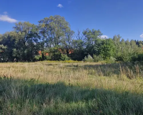 Atrakcyjna działka budowlana w Witoszowie Dolnym.