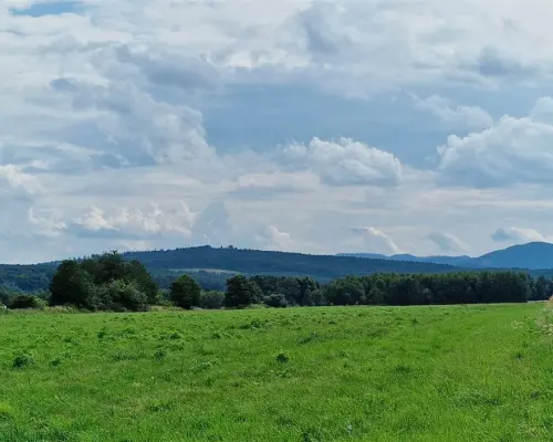 Działki na sprzedaż, świetna lokalizacja,Modliszów