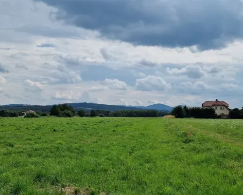 Działki na sprzedaż, świetna lokalizacja,Modliszów