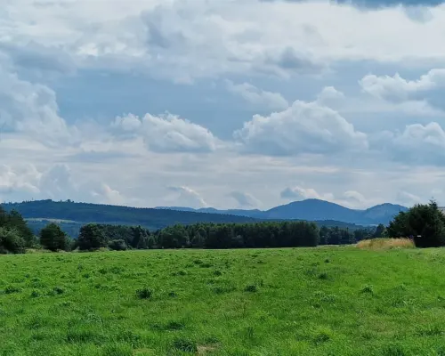 Działki na sprzedaż, świetna lokalizacja,Modliszów