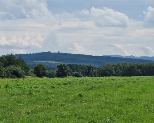 Działki na sprzedaż, świetna lokalizacja,Modliszów