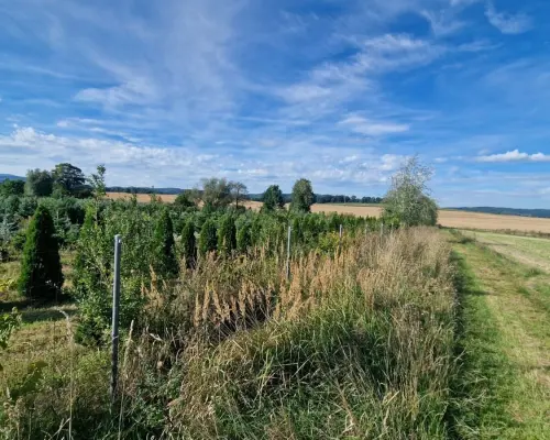 Atrakcyjne działki w Wieruszowie