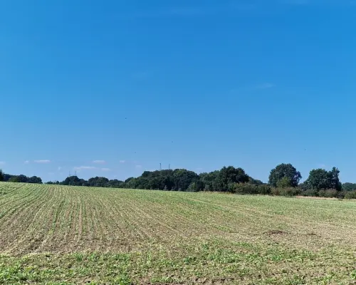 Atrakcyjne działki w Wieruszowie