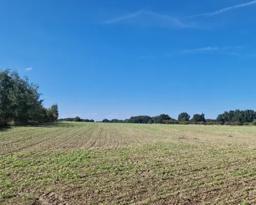 Atrakcyjne działki w Wieruszowie