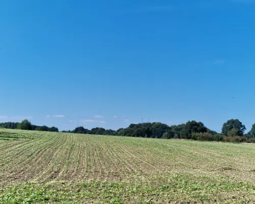 Atrakcyjne działki w Wieruszowie