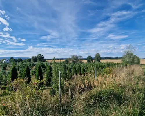 Atrakcyjne działki w Wieruszowie