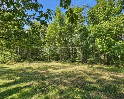 DZIAŁKA BUDOWLANA 1 204 m² | BUCZKOWICE | MPZP | ZABUDOWA JEDNORODZINNA  Na sprzedaż działka nr 779/1 o powierzchni ok.