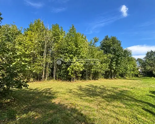 DZIAŁKA BUDOWLANA 1 204 m² | BUCZKOWICE | MPZP | ZABUDOWA JEDNORODZINNA  Na sprzedaż działka nr 779/1 o powierzchni ok.