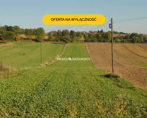 Działka budowlano-rolna w Brzeziu gm.Kłaj