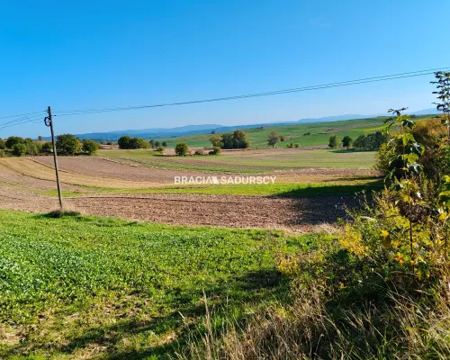 Działka budowlano-rolna w Brzeziu gm.Kłaj