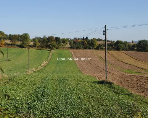 Działka budowlano-rolna w Brzeziu gm.Kłaj