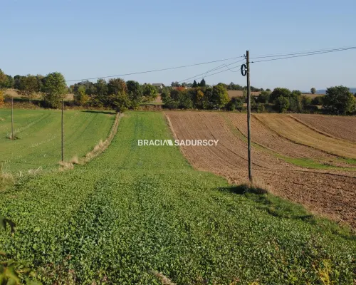 Działka budowlano-rolna w Brzeziu gm.Kłaj