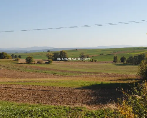 Działka budowlano-rolna w Brzeziu gm.Kłaj