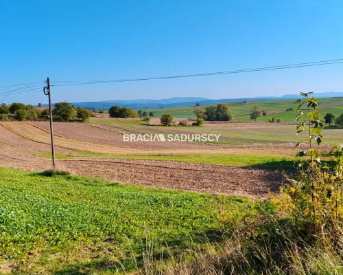 Działka budowlano-rolna w Brzeziu gm.Kłaj