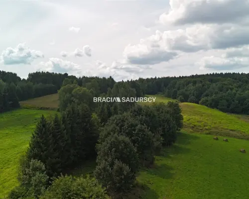Działka budowlana o powierzchni 30 arów w Brodach