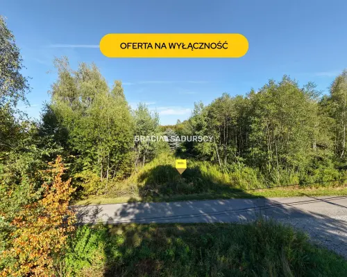 DZIAŁKA NA SPRZEDAŻ - CHRONÓW, GMINA NOWY WIŚNICZ     Cena: 125 000 zł     Powierzchnia: 25,97 ara (2 597 m²) Numer dział