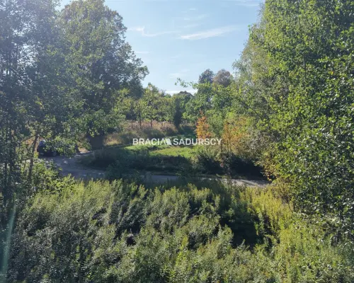 DZIAŁKA NA SPRZEDAŻ - CHRONÓW, GMINA NOWY WIŚNICZ     Cena: 125 000 zł     Powierzchnia: 25,97 ara (2 597 m²) Numer dział