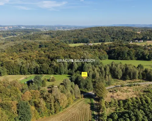 DZIAŁKA NA SPRZEDAŻ - CHRONÓW, GMINA NOWY WIŚNICZ     Cena: 125 000 zł     Powierzchnia: 25,97 ara (2 597 m²) Numer dział