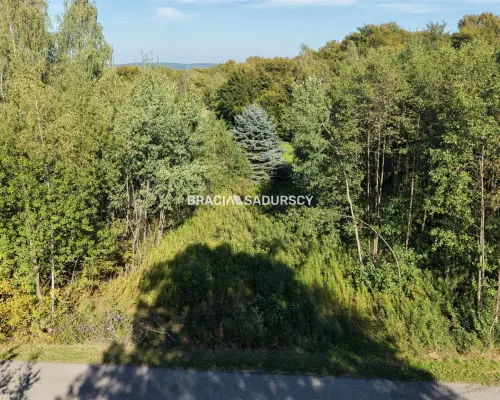 DZIAŁKA NA SPRZEDAŻ - CHRONÓW, GMINA NOWY WIŚNICZ     Cena: 125 000 zł     Powierzchnia: 25,97 ara (2 597 m²) Numer dział