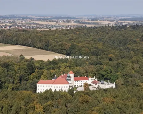 DZIAŁKA 60 AR. ROL-BUDOWLANA MEDIA SĄSPÓW SPOKÓJ