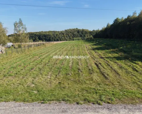 DZIAŁKA 60 AR. ROL-BUDOWLANA MEDIA SĄSPÓW SPOKÓJ