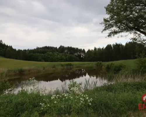 Dom wśród natury