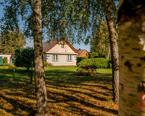Zadbane siedlisko z budynkami gospodarczymi 7400m²
