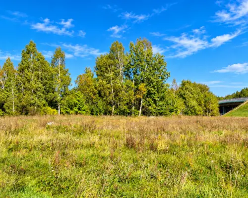 Działka usługowa przy S19