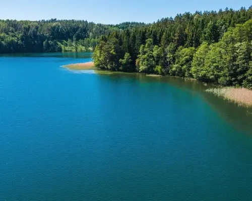 Mazury, jezioro Garbas, duża działka.