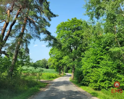 Mazury, jezioro Garbas, duża działka.