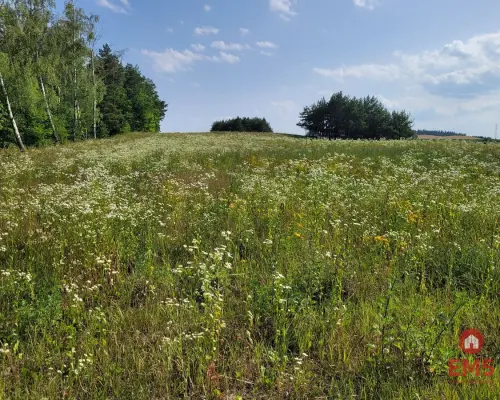 Mazury, jezioro Garbas, duża działka.