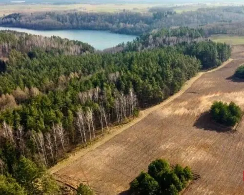 Mazury, jezioro Garbas, duża działka.
