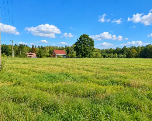 Działka pod lasem. Łubianka