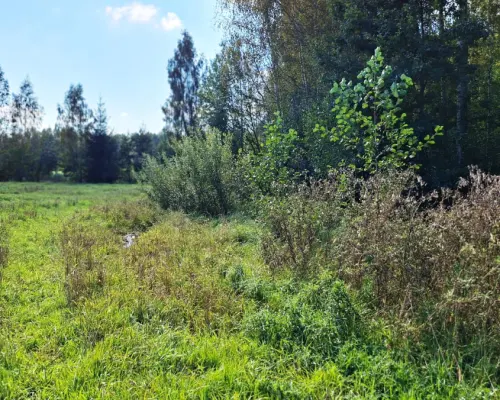 Działka 1692 m2. Łubianka