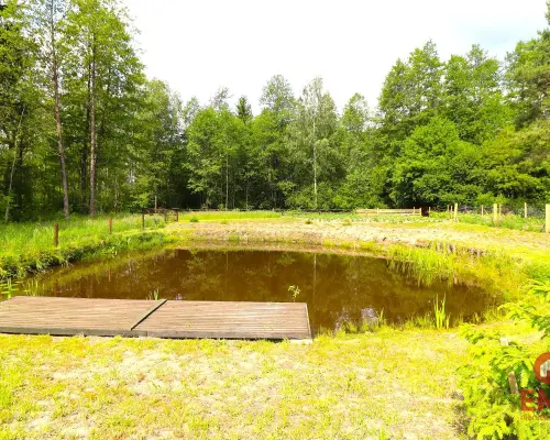 Działka budowlana, staw, ogrodzenie