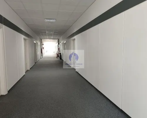 Śródmieście: lokal biurowo-usługowy 64 m2 do wynajęcia