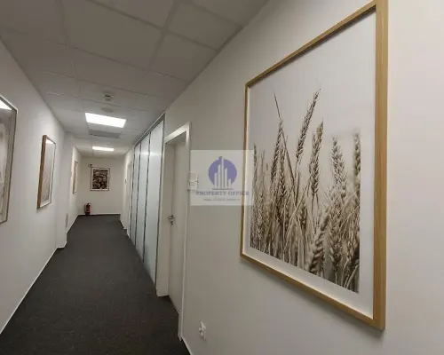 Śródmieście: lokal biurowy 25,47 m2 do wynajęcia