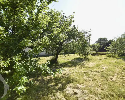Siedlisko z dużą działką 5986 m² Czyże