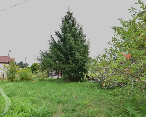 Dom z działką 672 m² i gospodarczym NIŻSZA CENA!