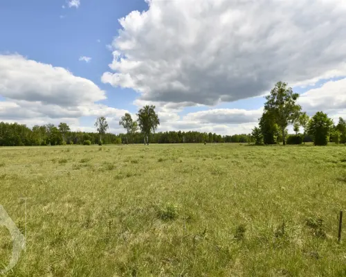 Działka 9661 m² WZ + prąd w realizacji NOWA CENA !