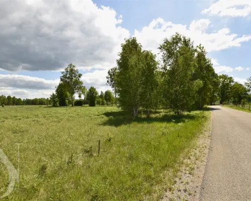 Działka 9661 m² WZ + prąd w realizacji NOWA CENA !