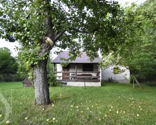 Zamieszkaj tam, gdzie króluje natura Krzywiec